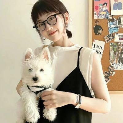女王鲨
